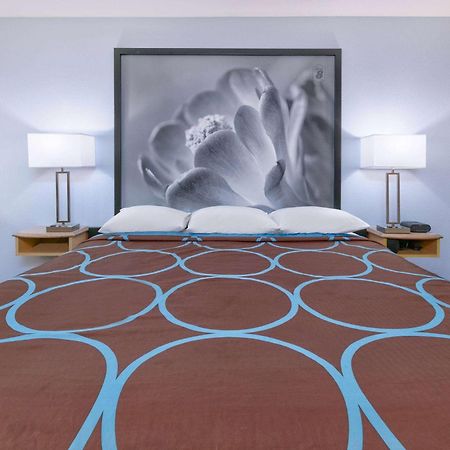 מלון Super 8 By Wyndham New Braunfels I-35 מראה חיצוני תמונה