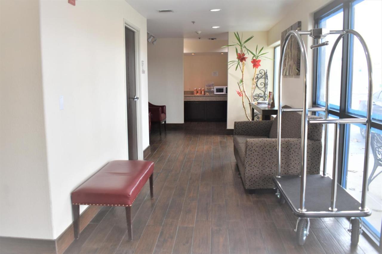 מלון Super 8 By Wyndham New Braunfels I-35 מראה חיצוני תמונה