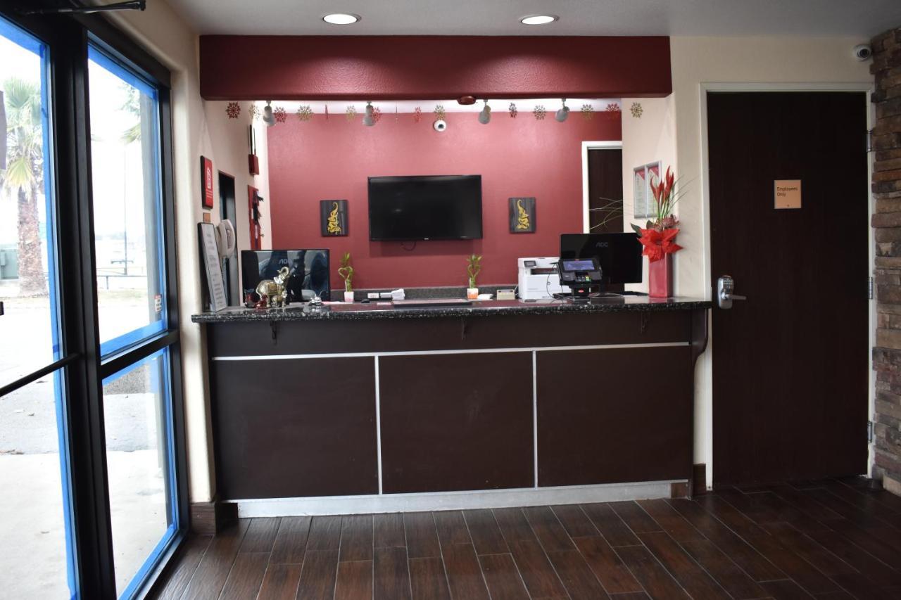 מלון Super 8 By Wyndham New Braunfels I-35 מראה חיצוני תמונה