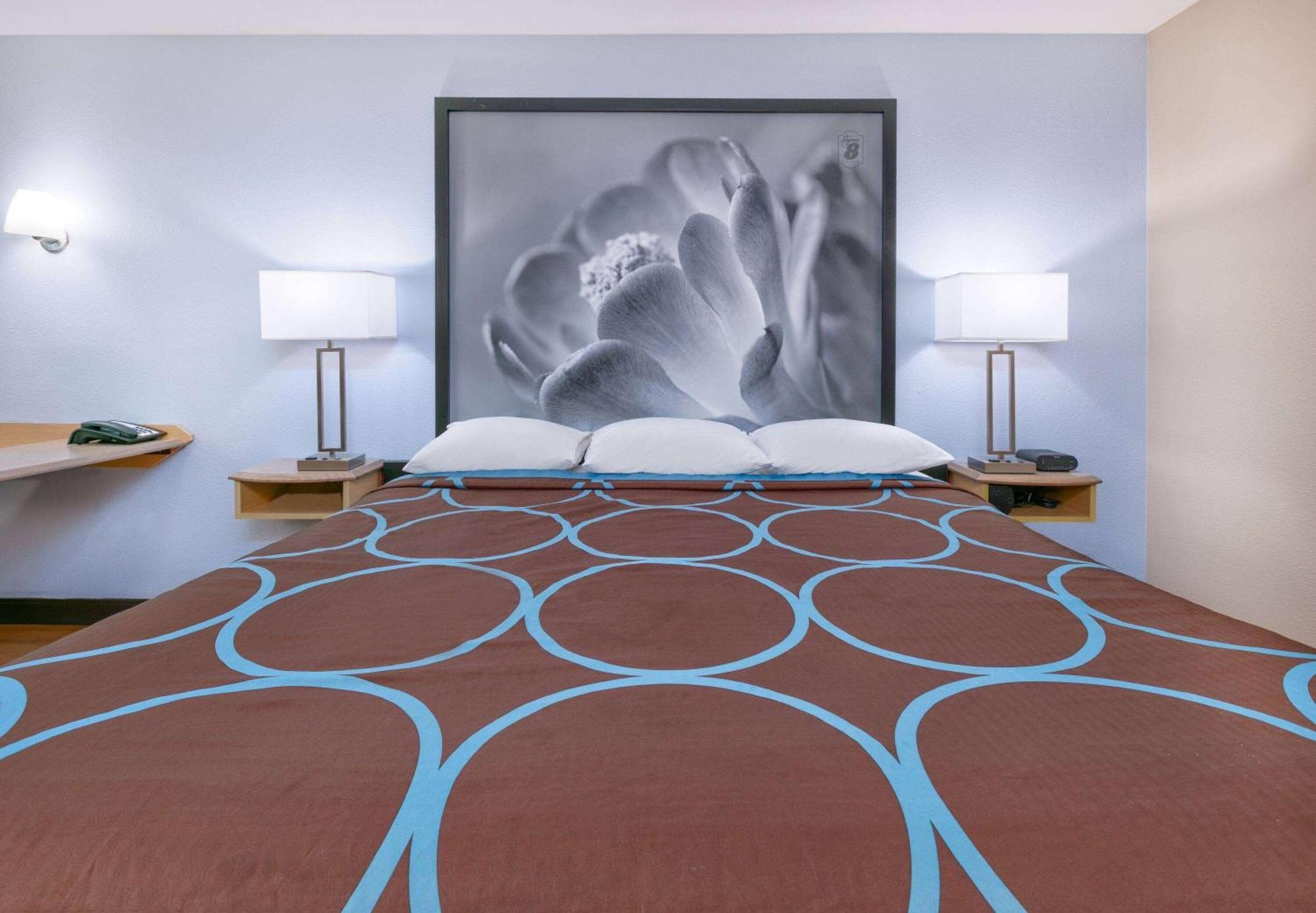 מלון Super 8 By Wyndham New Braunfels I-35 מראה חיצוני תמונה