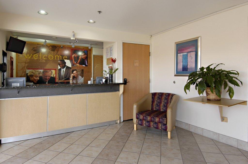 מלון Super 8 By Wyndham New Braunfels I-35 מראה חיצוני תמונה